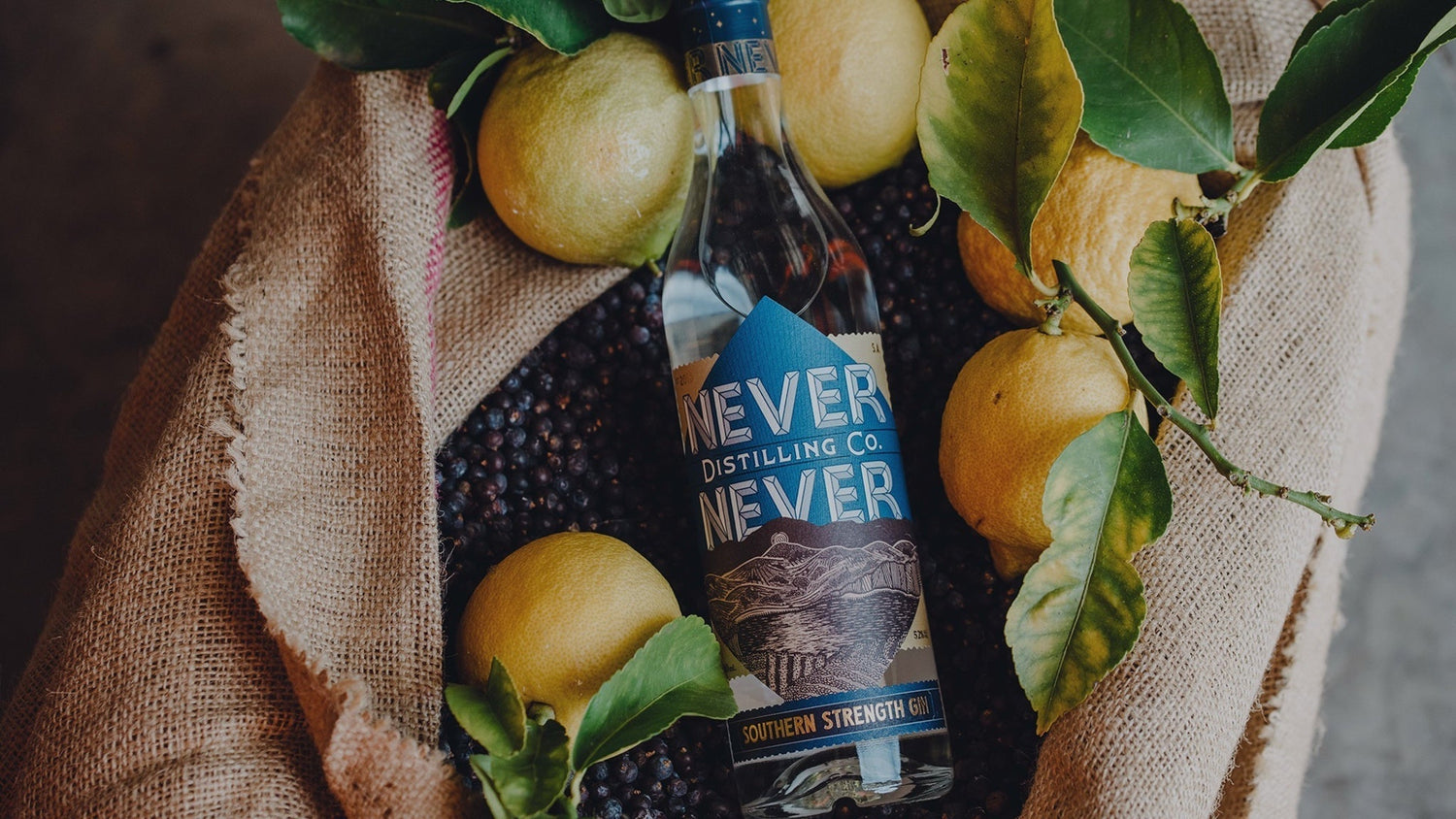 Gin Awards Update 2025